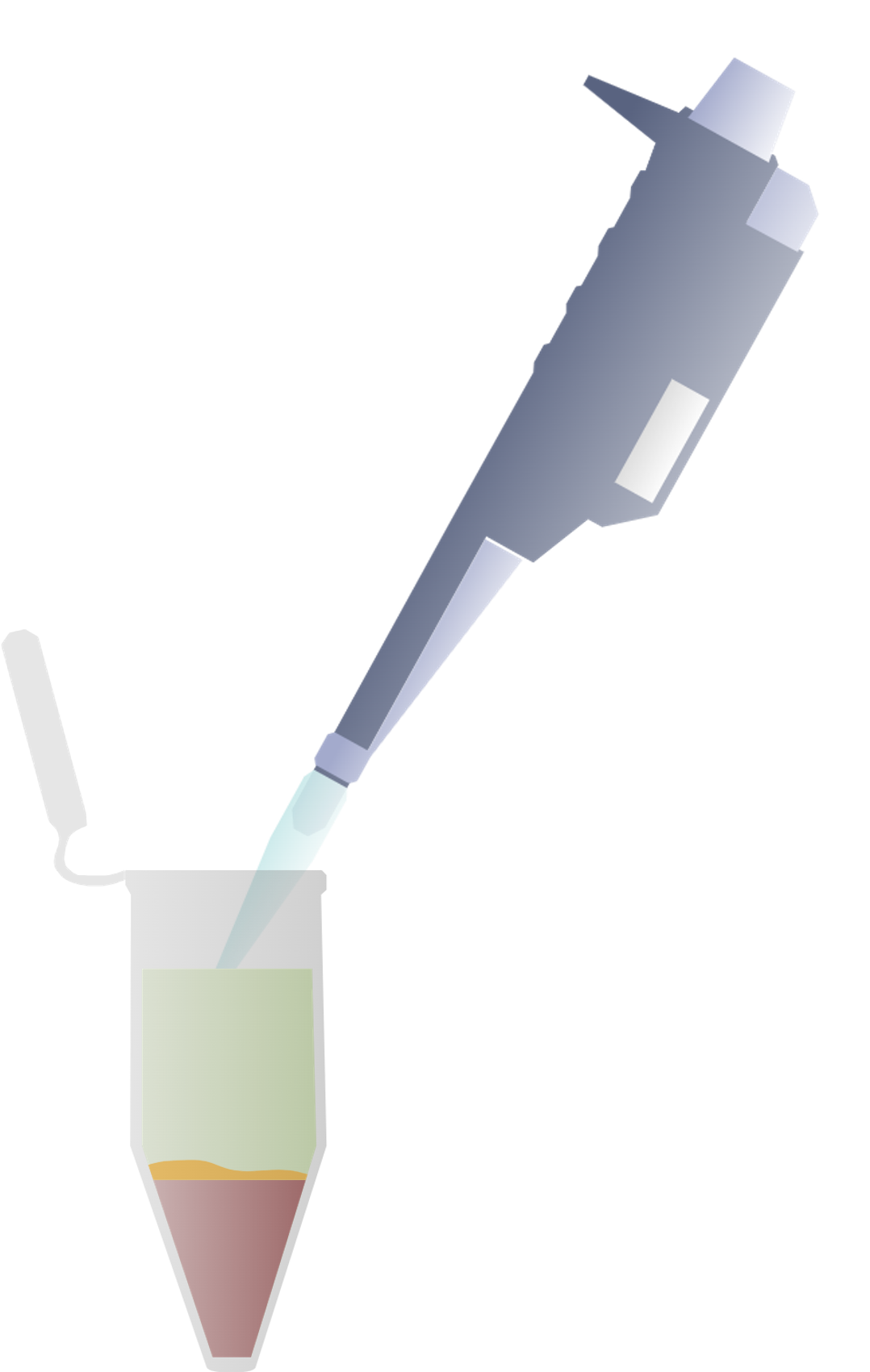 Take 150 uL of Supernatant